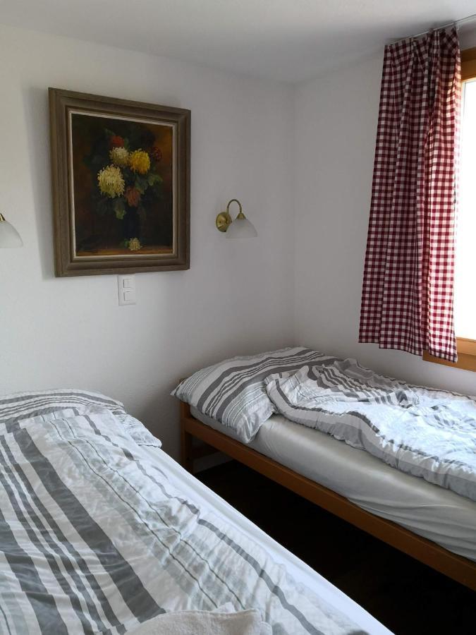 Chalet Valaisia Риедералп Екстериор снимка